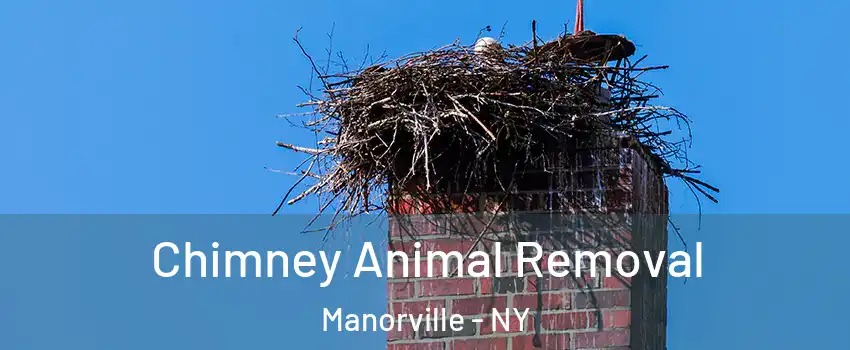 Chimney Animal Removal Manorville - NY