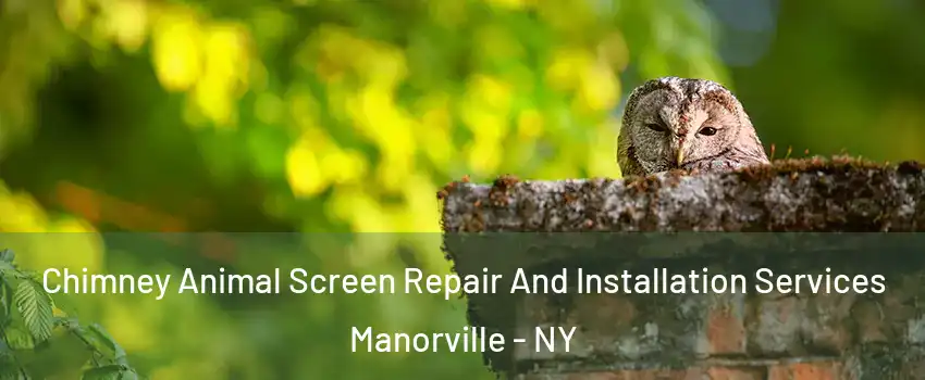  Chimney Animal Screen Repair And Installation Services Manorville - NY