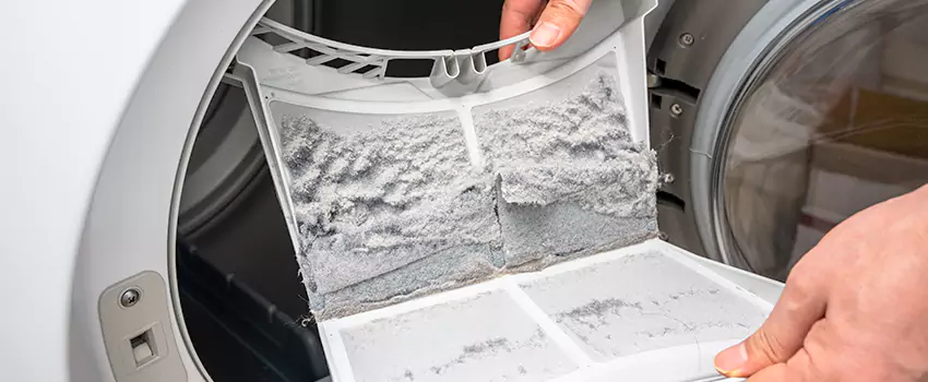 Best Dryer Lint Removal Company in Manorville, New York