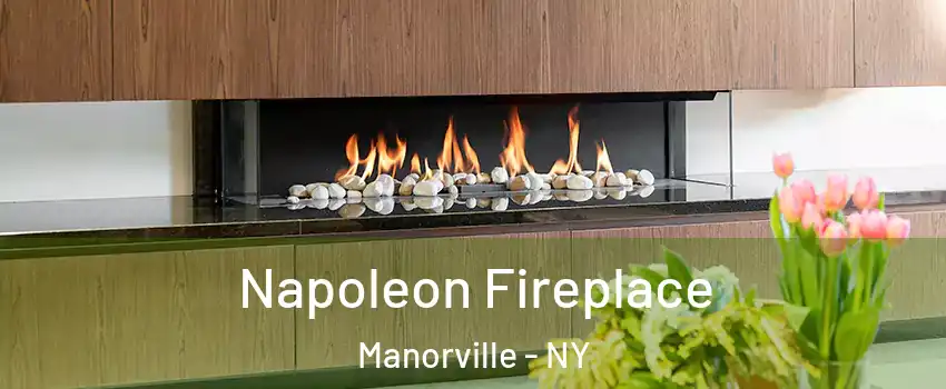  Napoleon Fireplace Manorville - NY